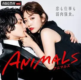 《佐和子那是无尽的复仇》：这女人太狠了！年度最炸裂复仇爽剧，看完只想跟着喊‘干得漂亮’！