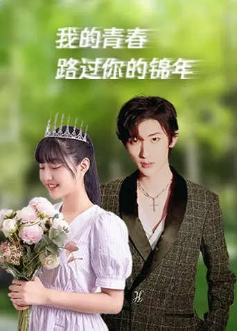 《我的青春路过你的锦年》：青春的悸动与不舍，这场修仙之旅你跟不跟？